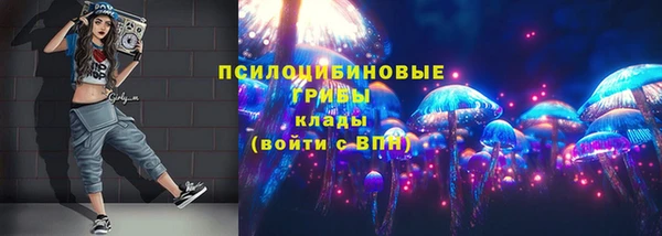 гашик Няндома