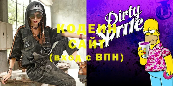 гашик Няндома