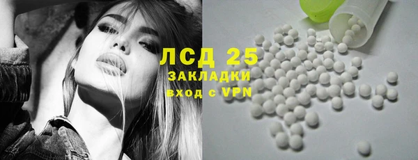 гашик Няндома