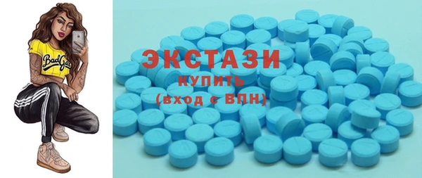 гашик Няндома