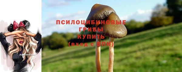 дурь Нягань