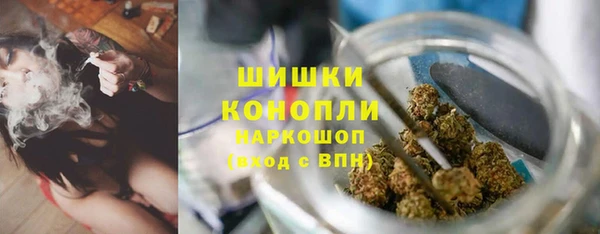 дурь Нягань