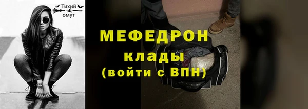 гашик Няндома