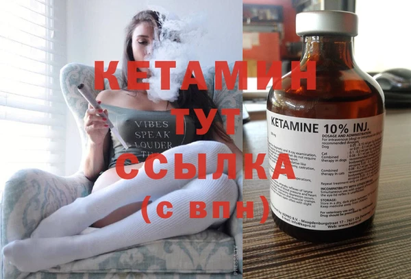 гашик Няндома