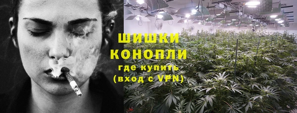дурь Нягань