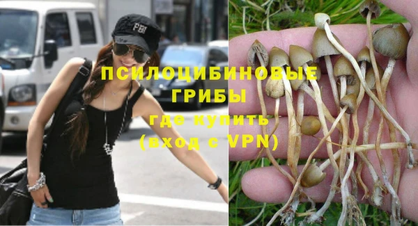 тгк Нязепетровск