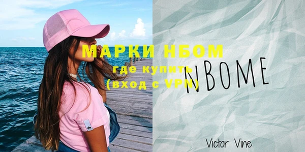гашик Няндома
