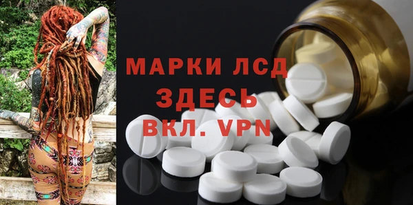 гашик Няндома