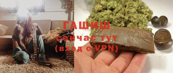 гашик Няндома