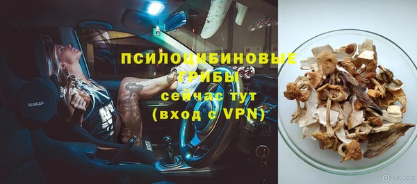 дурь Нягань