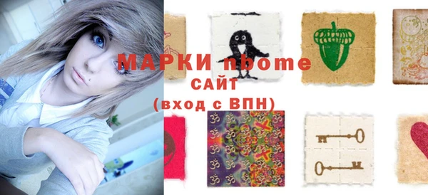 гашик Няндома