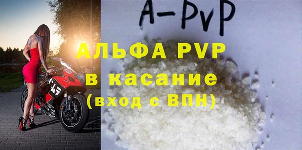 гашик Няндома