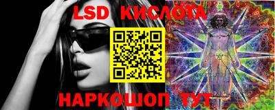спиды Аргун