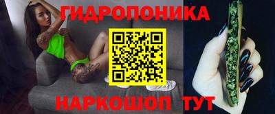 spice Волжск