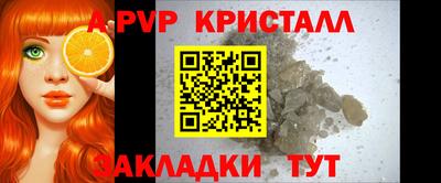 спиды Аргун
