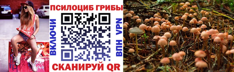 Галлюциногенные грибы Cubensis  omg онион  Бахчисарай 