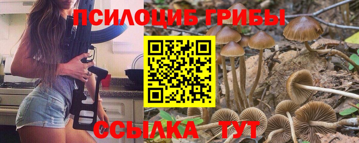 Псилоцибиновые грибы MAGIC MUSHROOMS  Бахчисарай 
