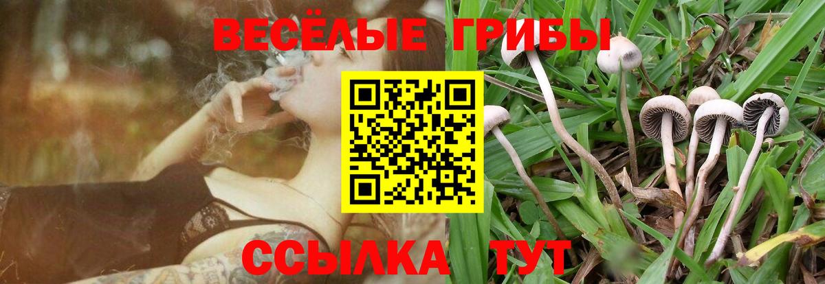 Галлюциногенные грибы прущие грибы  Псилоцибиновые грибы Psilocybine cubensis  наркошоп  Бахчисарай  Вход с VPN 